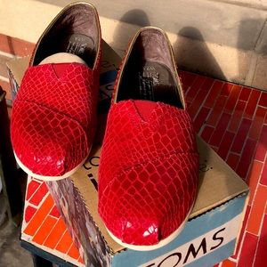 TOMS Classics Red Snake